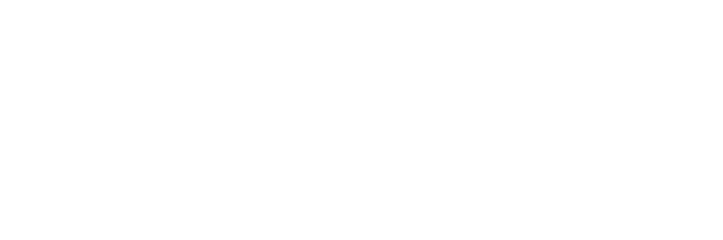 taniam freight website logo white 01